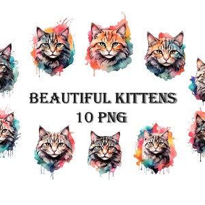 Cute kittens watercolor clipart 10 PNG/Beautiful kittens/Cute cats clipart/Beautiful cats and kittens in agreatcollectionofwatercolorclipart
