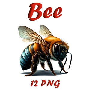 Clip Art acquerello ape / 12 file PNG / Download digitale di ape dipinta