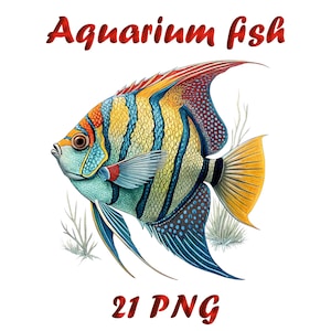 水族館の魚の水彩画のクリップアート | 21 PNG ペイントされた熱帯魚のデジタルダウンロード