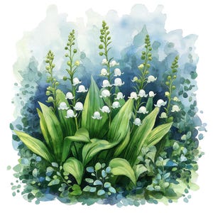 23 Watercolor Lily of the Valley Clipart, Lily of the Valley Flowerbed, Spring Flowers, Card Making, Digital Paper Craft, High Quality JPGs