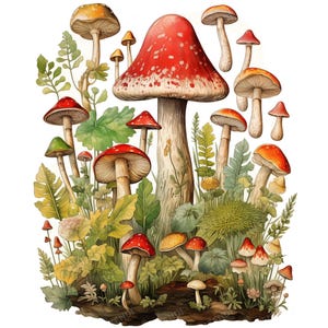 25 cliparts aquarelle champignons, fichiers JPG de haute qualité, clipart champignon vénéneux nature forêt mignon, créations en papier, journaux indésirables