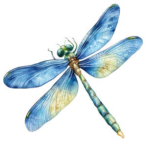 21 aquarel libel clipart, libellen, insect, kleurrijk, afdrukbare clipart, sublimatie, ongewenste tijdschriften, papiermodellen, digitale download
