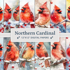 20 Northern Cardinal digitale papers, rode kardinaal, kardinaalvogel, aquarel rode vogel, winterpapier, rommeldagboek, scrapbooking, kaarten maken