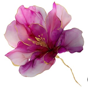 20 PNG Clipart di fiori rosa astratti, traslucidi, inchiostro alcolico, fiori secchi, fiori rosa oro, stampa di fiori, clipart acquerello stampabile
