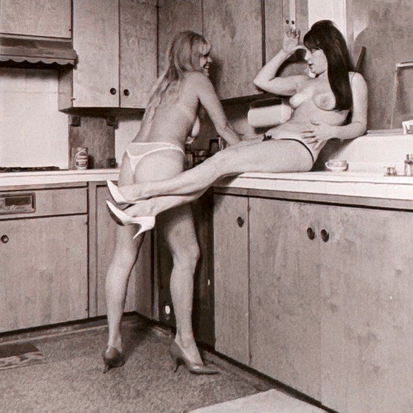 Vintage 1960s 70s Posed Nude Girlfriends Negative B/W