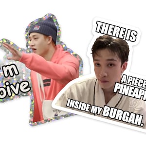 Stray Kids Bang Chan Meme Stickers - Etsy