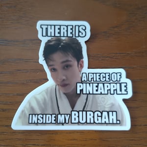 Stray Kids Bang Chan Meme Stickers - Etsy