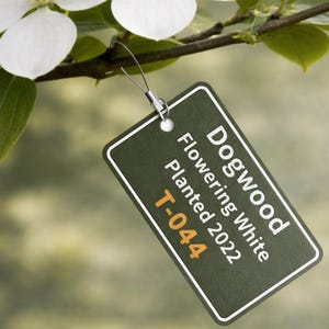May include: A dogwood branch with white flowers and green leaves. A green tag attached to the branch reads "Dogwood Flowering White Planted 2022 T-044". The background is a soft, blurred green.