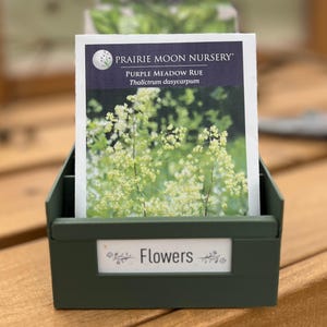 May include: A dark green metal bin with a label that reads "Flowers" holds a seed packet. The seed packet is labeled "Prairie Moon Nursery" and features an image of white flowers. The packet is labeled "Purple Meadow Rue".