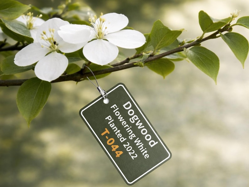 Custom Heavy-duty Outdoor Tree ID Tags • Durable PETG Plant Markers 3D ...