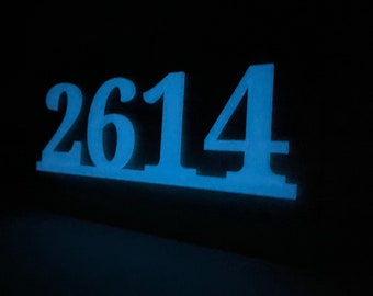 Custom Glowing House Numbers