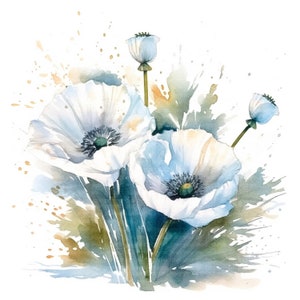 12 weißer Mohn Clipart | Weißer Mohn Strauß | 12 hochauflösende JPGs für digitalen Planner, Junk Journal, digitales Papier, Tasse
