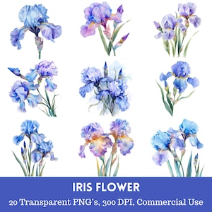 Iris  Flowers Watercolor Clipart Iris Clipart Flowers Clipart | Iris PNG 300 DPI | Cards, Scrapbooks, Wall Art