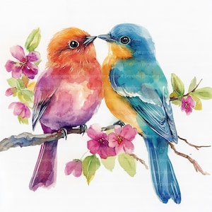 12 uccelli acquerellati, clipart di uccelli stravaganti, clipart di acquerelli per scrapbooking e diari / JPG di alta qualità / download digitale