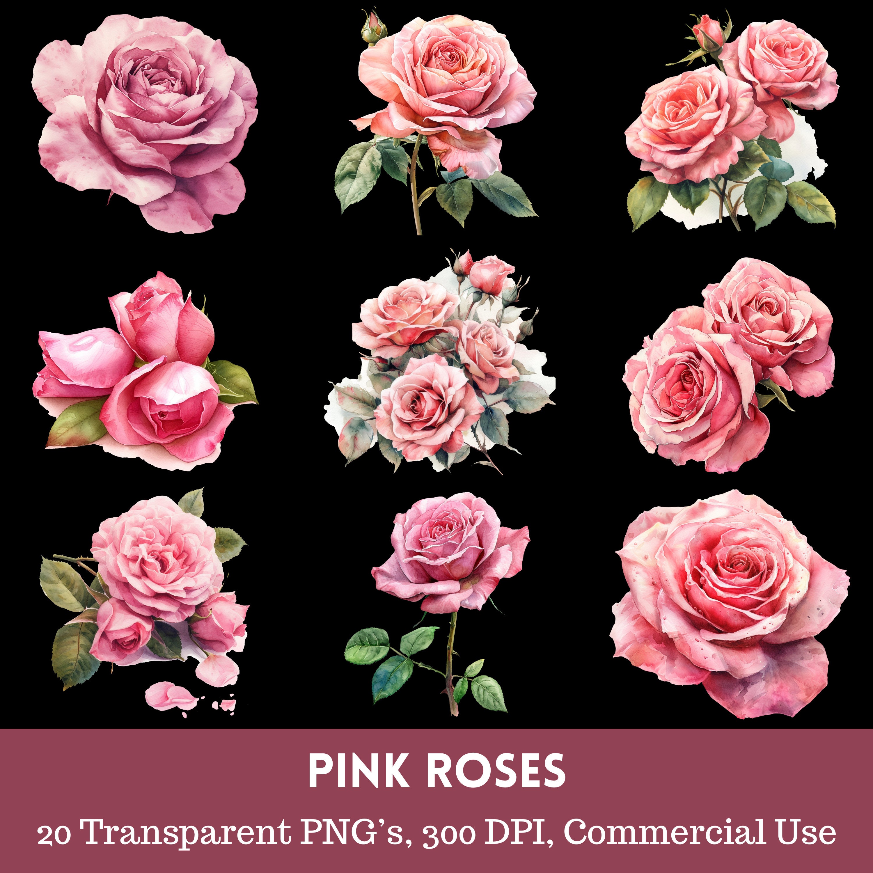 20 Pink Roses Watercolor Clipart | Pink Flowers, Floral Art (pngs ...