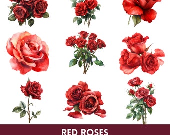 20 Red Roses Clipart | Floral Art Watercolor Illustration | Romantic Botanical Flower PNG