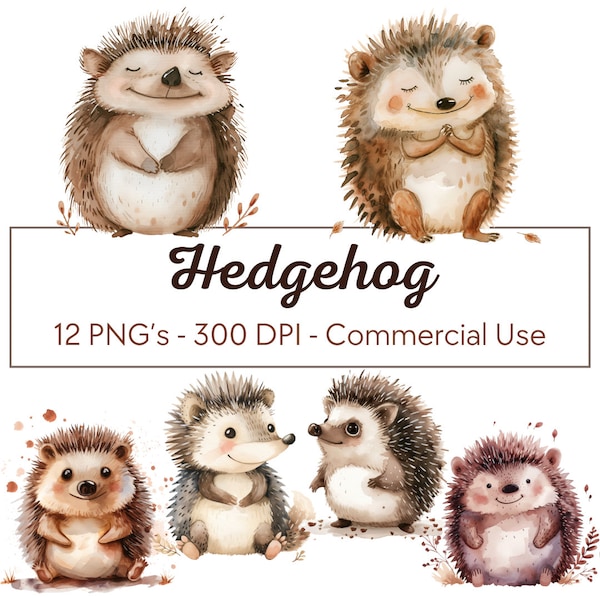 Hedgehog Watercolor Clipart Hedgehog Clipart Cute Hedgehog Clipart | Hedgehog PNG 300 DPI | Cards, Scrapbooks, Digital Planner, Wall Art