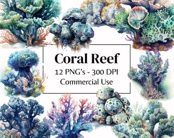 12 Coral Reef Watercolor Clipart | Underwater Ocean Animal Art | Tropical Sea Life Illustration PNG