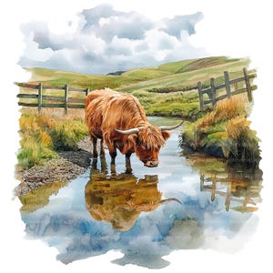 May include: Watercolor painting of a Highland cow drinking from a stream. The cow has long, shaggy, reddish-brown fur and curved horns. The scene includes a wooden fence, green hills, and a cloudy sky, with the cow's reflection in the water.
