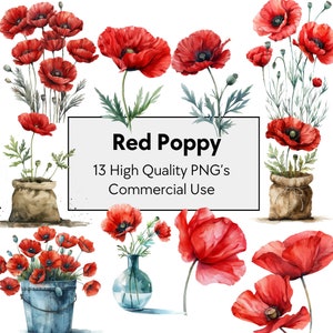 Elegantes rotes Mohn Aquarell Clipart Set - Hochwertiges PNG für Wandkunst & Kunsthandwerk