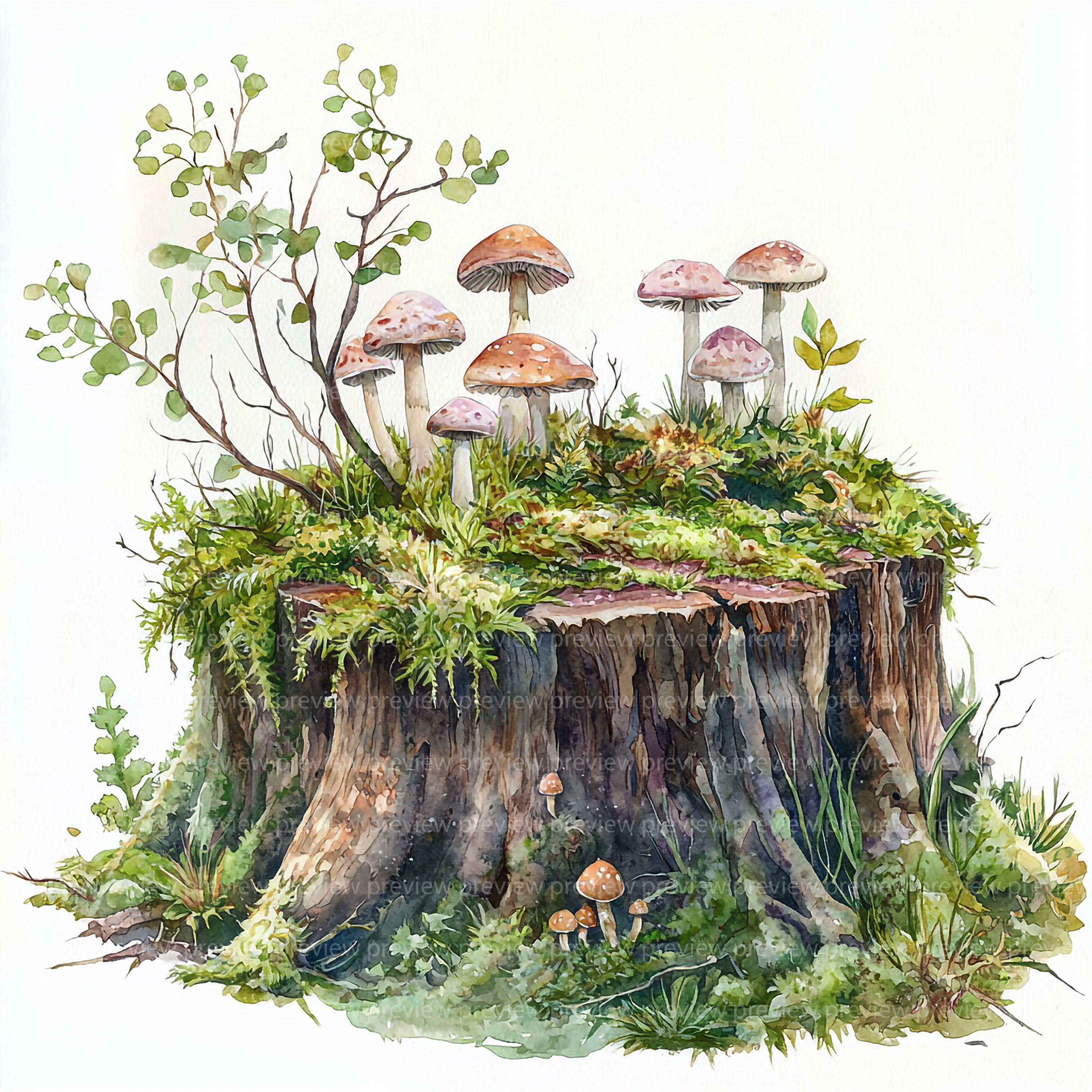 12 Woodland Stump Clipart, Mushrooms and Moss, Forest Tree Stump Watercolor Clipart for Scrapbooking | High-Quality JPGs | Digital Download
