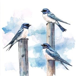 12 hirondelles oiseau sur clipart en bois, clipart hirondelles aquarelle pour scrapbooking et journaux | Fichiers JPG de haute qualité | Téléchargement numérique
