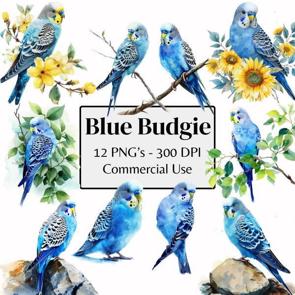 Budgie Watercolor Clipart Budgie Clipart Bird Clipart | Budgie PNG 300 DPI | Wall Art, Digital Planner, Scrapbooks, junk journals