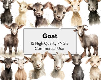 12 Watercolor Baby Goat Clipart | Farm Animal Botanical Art | Kid Goat Illustration PNG