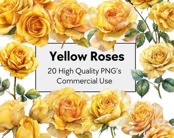 20 Watercolor Yellow Roses Clipart | Golden Floral Botanical Art | Summer Rose Garden Illustration PNG