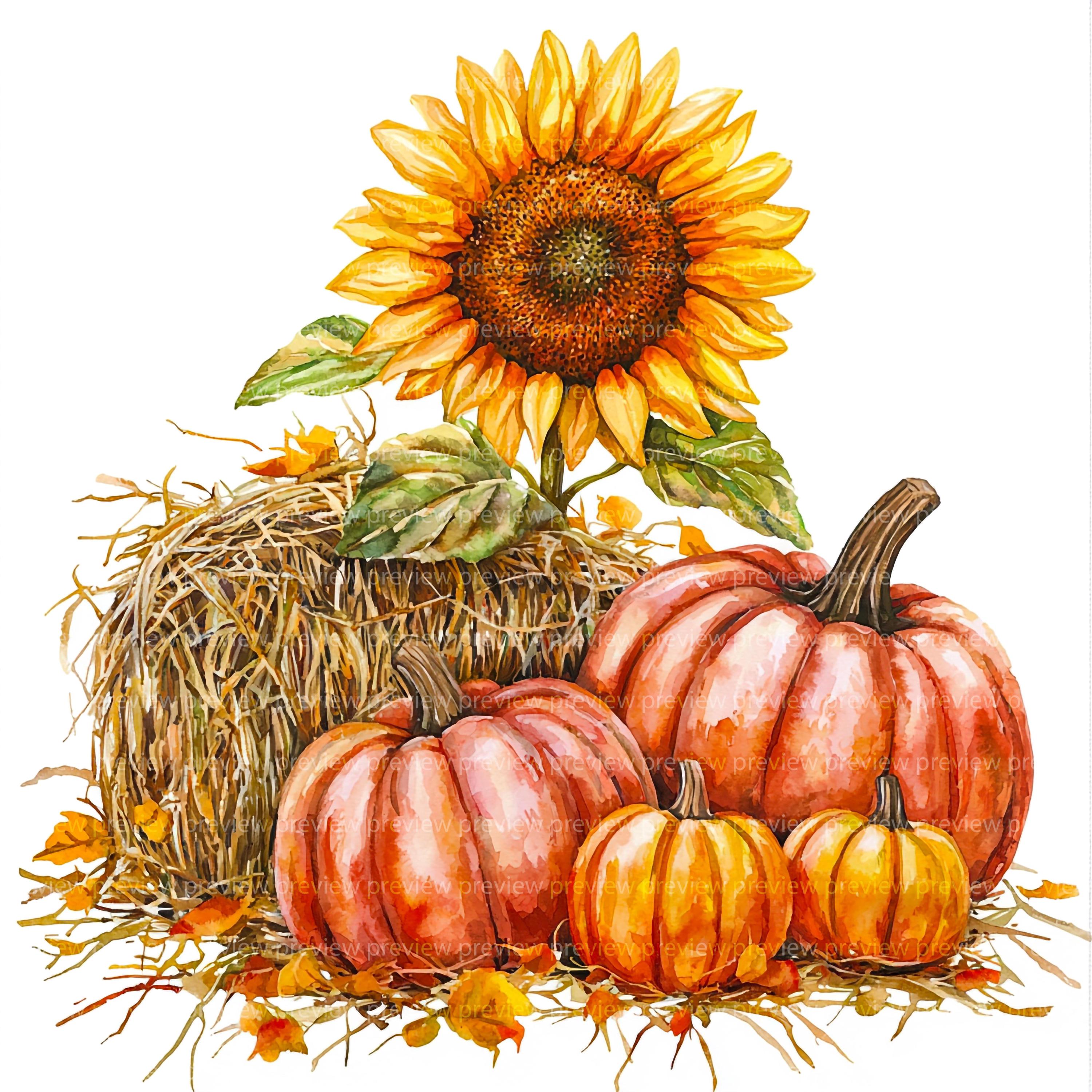 12 Autumn Harvest Clipart | Sunflower and Pumpkin Watercolor Art ...