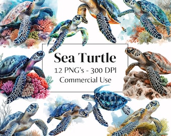 12 Watercolor Sea Turtle Clipart | Marine Life Animal Art | Ocean Reptile Illustration PNG