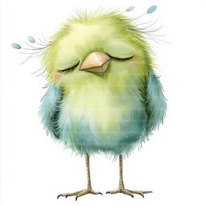 12 Whimsical Funny Bird Clipart | Quirky Animal Art (jpgs, Commercial ...