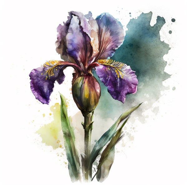 12 Iris Flowers Clipart, Iris Watercolor Clipart, Iris Painting, High Resolution JPGs, Digital Planner, Junk Journal, Scrapbook, Wall Art