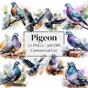 Clipart Pigeon aquarelle | 12 images PNG haute résolution pour oeuvre d'art murale nature, agenda numérique, conception de vêtements | Utilisation commerciale