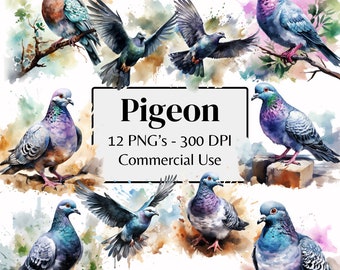 12 Watercolor Pigeon Clipart PNG | Urban Bird Botanical Art | Realistic Dove Bird Illustration