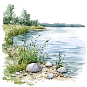 Può includere: Dipinto ad acquerello di una serena scena lacustre. Alte erbe verdi costeggiano la riva sabbiosa, con lisce rocce grigie sparse. La calma acqua blu riflette gli alberi e il cielo lontani, creando un paesaggio pacifico.