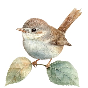 May include: Watercolor illustration of a small bird perched on a branch with two leaves. The bird has brown and white feathers, a small beak, and a dark eye. The leaves are green and tan, and the background is white.