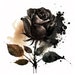12 Black Rose Clipart, Black Rose Flowers, Printable Black Rose, High ...