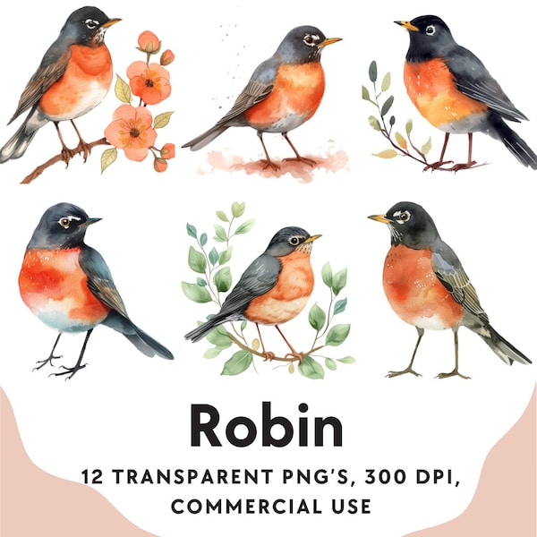 Cute Robin Watercolor Clipart Cute Robin Clipart Bird Clipart | Cute Robin PNG 300 DPI | Junk Journals, Scrapbooks, Digital Planner