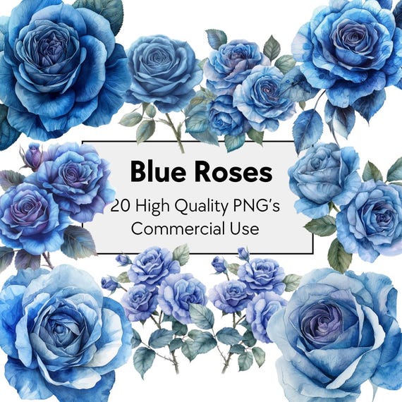 20 Blue Roses Clipart | Teal Navy Floral Watercolor Art | Ethereal