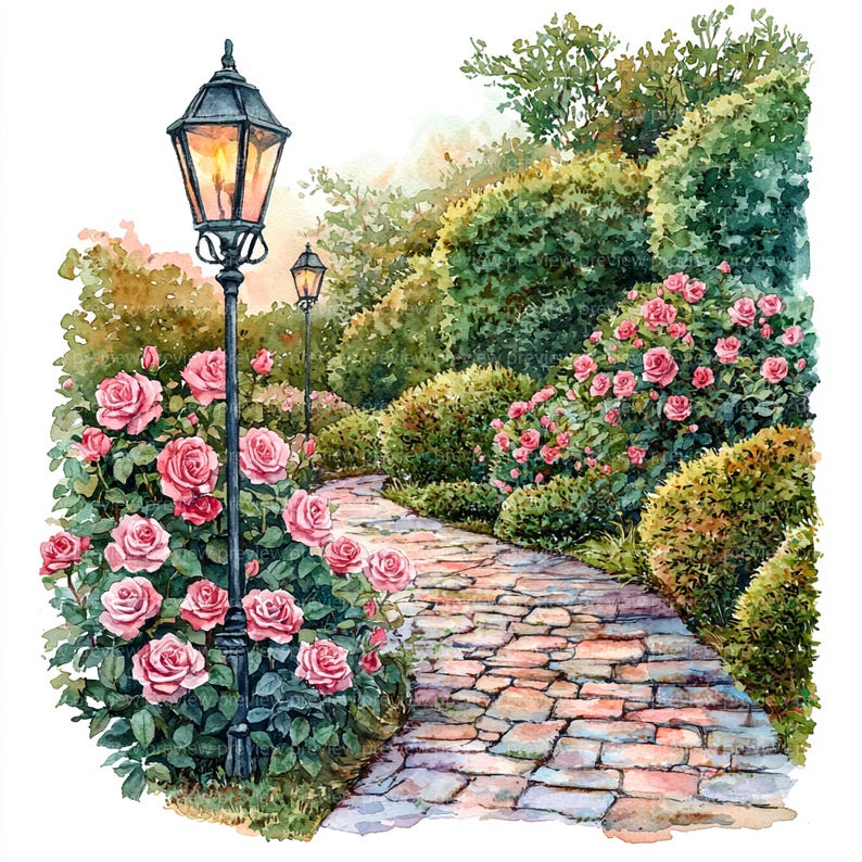 12 Watercolor Rose Garden Path Clipart | Romantic Floral Pathway (jpgs ...