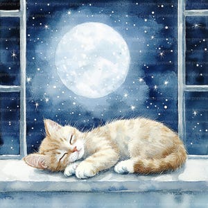 12 cliparts chaton étoilé, scène de fenêtre de nuit, clipart aquarelle pour scrapbooking et journaux | Fichiers JPG de haute qualité | Téléchargement numérique