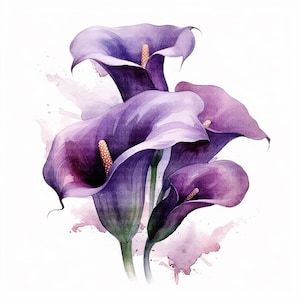 Lila Calla Lilie Clipart, Blumenstrauß Calla Lilie | 12 hochauflösende JPGs für digitalen Planer, Junk Journal, digitales Papier