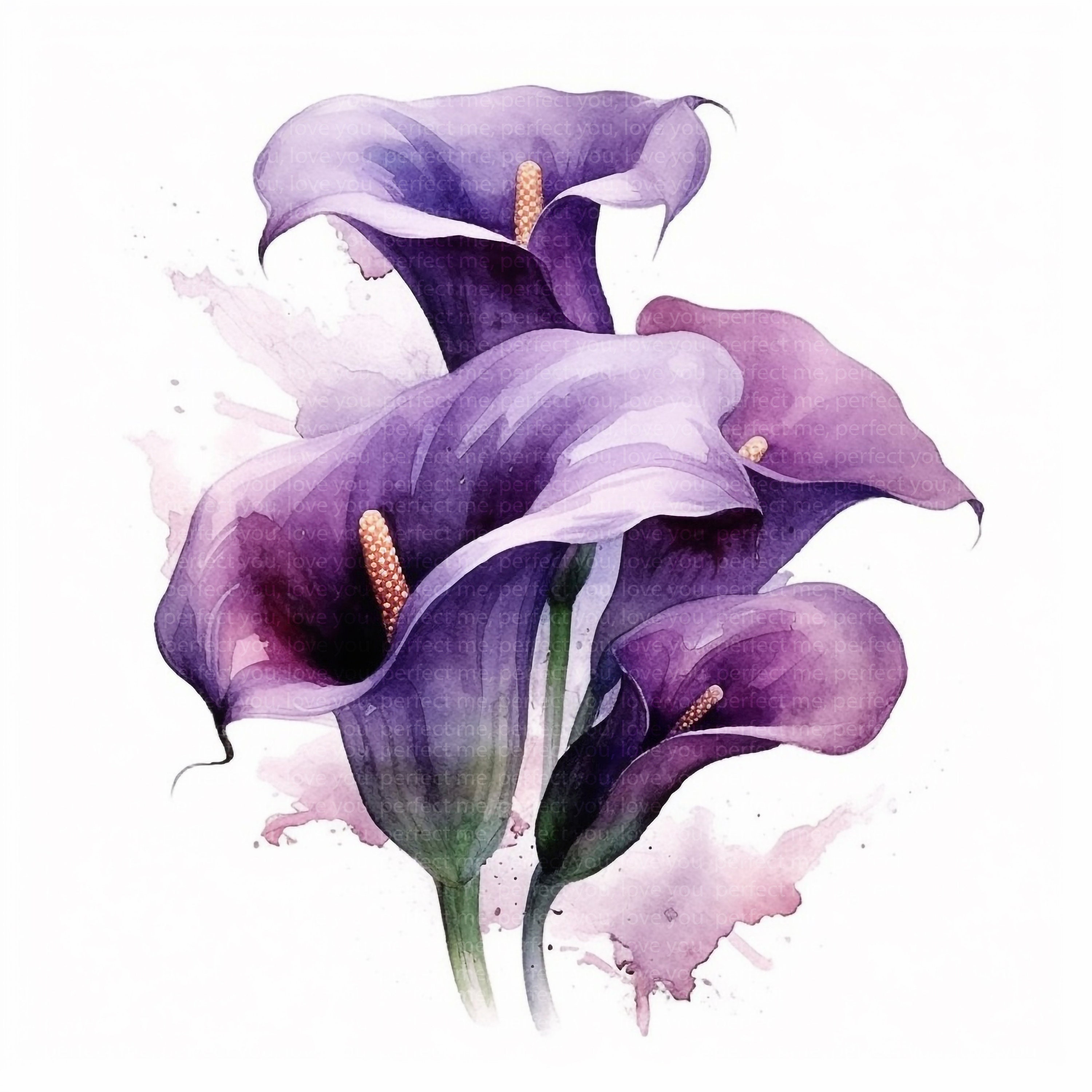 12 Purple Calla Lily Watercolor Clipart | Floral Bouquet (jpgs, Commercial  Use) - Etsy