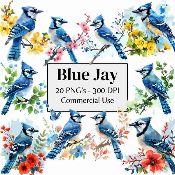 Floral Blue Jay Watercolor Floral Blue Jay Clipart Bird Clipart | Blue Jay PNG 300 DPI | png Mug png Wall Art png T-Shirt png Scrapbooks