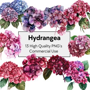 Hortensia aquarel clipart hortensia clipart bloemen clipart | Hortensia PNG 300 DPI | Kaarten, plakboeken, digitale planner