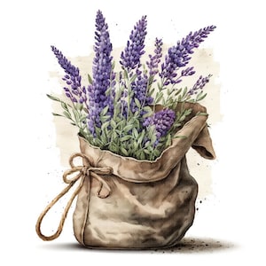 lavender Clipart, lavender bouquet, lavender Flowers Clipart | 12 High resolution JPGs for Digital Planner, Junk Journal, Wall Art