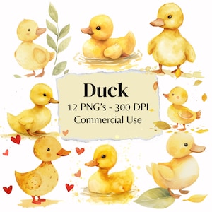 Lindo pato acuarela clipart lindo pato clipart pato paquete clipart / lindo pato PNG 300 DPI / tarjetas, álbumes de recortes, planificador digital