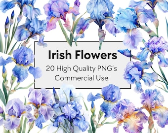 20 Aquarell Iris Clipart | Florale Kunst (PNGs, digitaler Download, kommerzielle Nutzung)