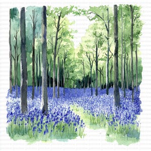 20 Bluebell Clipart | Watercolor Bluebell Blooms Clipart |Watercolor Clipart | High-Quality JPGs for Scrapbooking | Digital download
